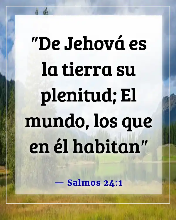 Versículos de la Biblia sobre respetar la creación de Dios (Salmos 24:1)
