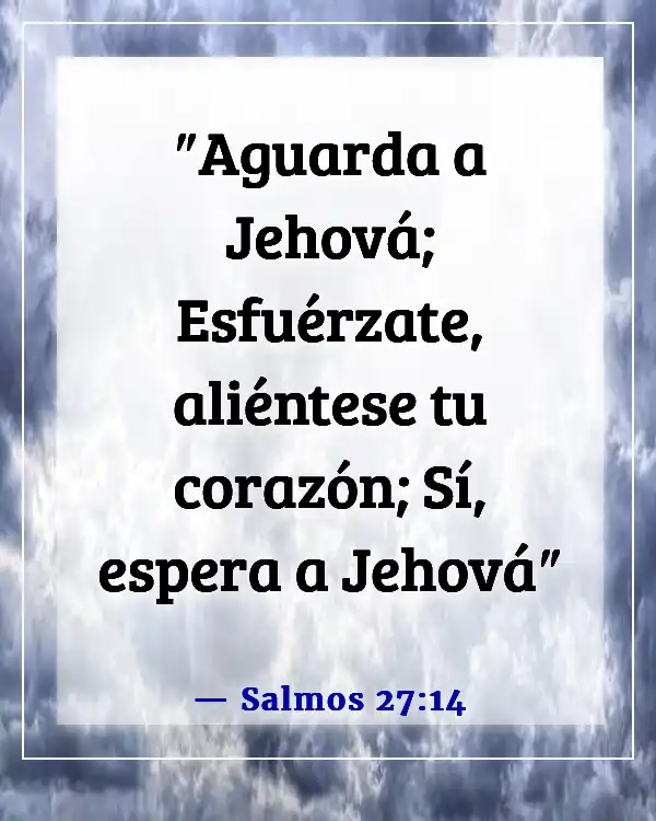 Versículos de la Biblia sobre esperar en Dios (Salmos 27:14)