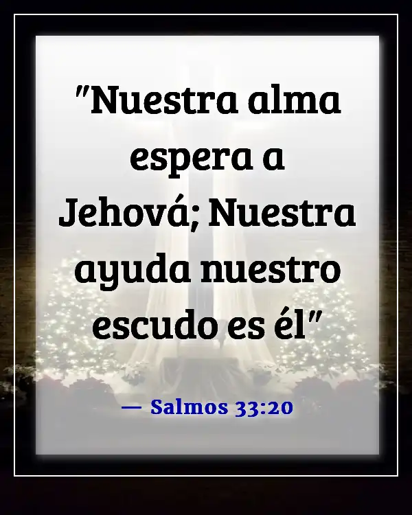 Versículos de la Biblia sobre esperar en Dios (Salmos 33:20)