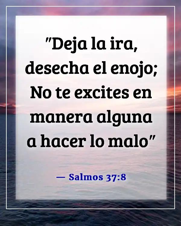 The translation of "Bible Verse: Be Angry But Do Not Sin" into Spanish is:

"Versículo de la Biblia: Enójense, pero no pequen." (Salmos 37:8)