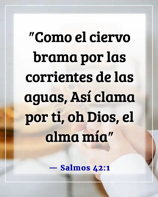 Versículos de la Biblia sobre buscar a Dios (Salmos 42:1)