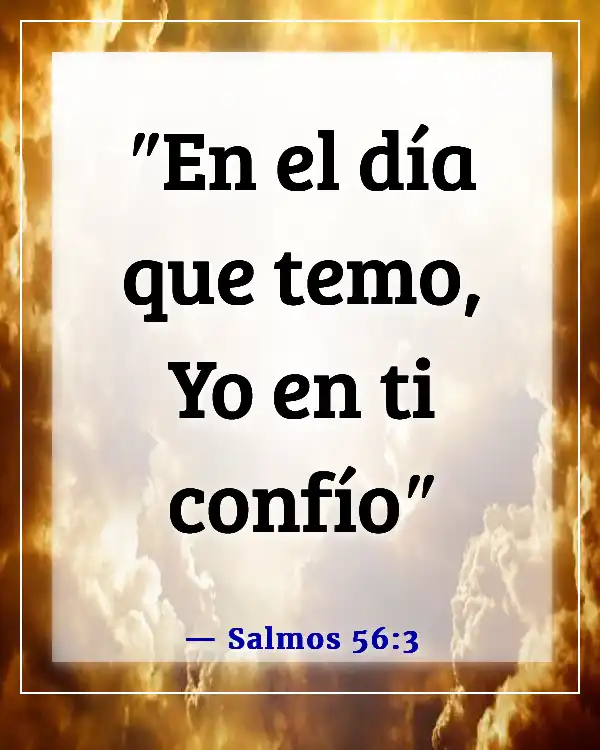 Sé un guerrero, no un preocupado (Salmos 56:3)