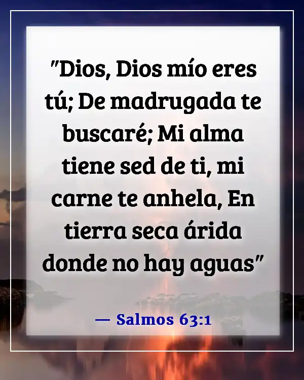 Versículos de la Biblia sobre buscar a Dios (Salmos 63:1)