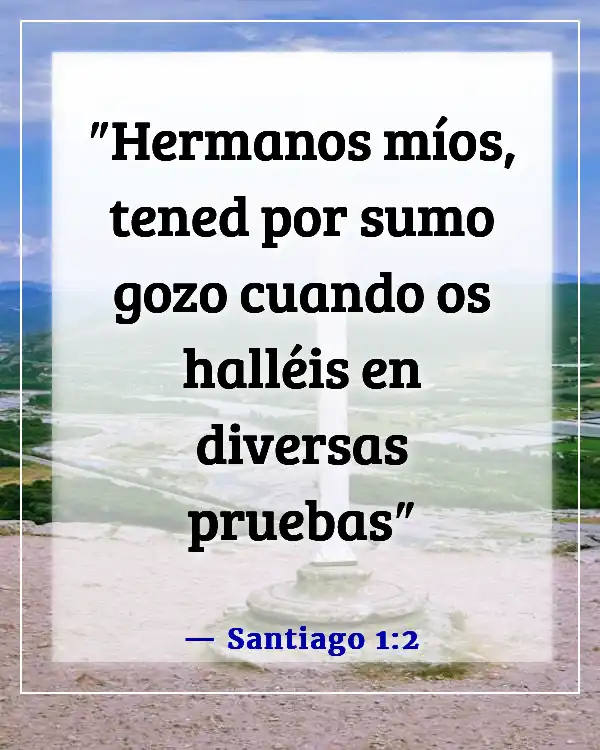 Versículo de la Biblia sobre estar agradecido por las pruebas (Santiago 1:2)