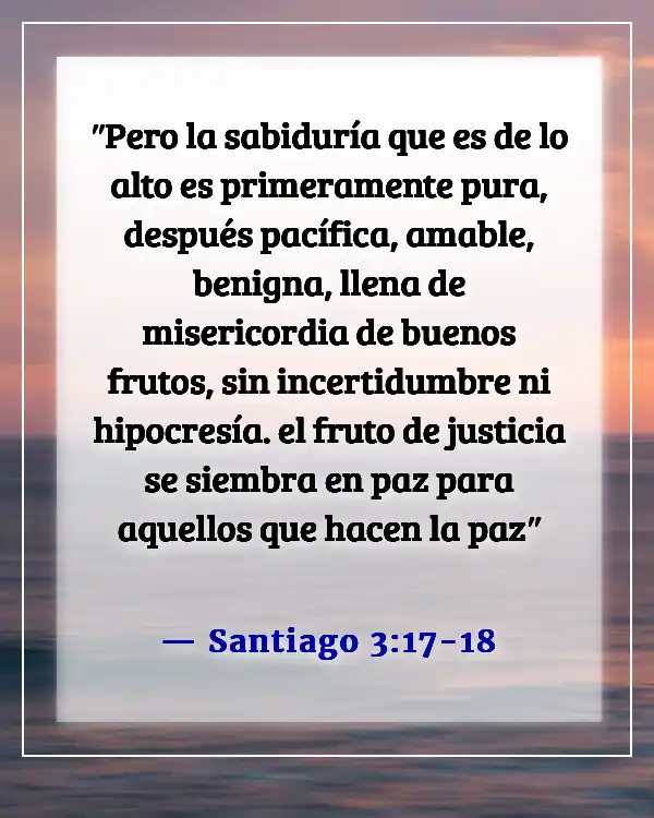 Versículo bíblico sobre problemas familiares (Santiago 3:17-18)