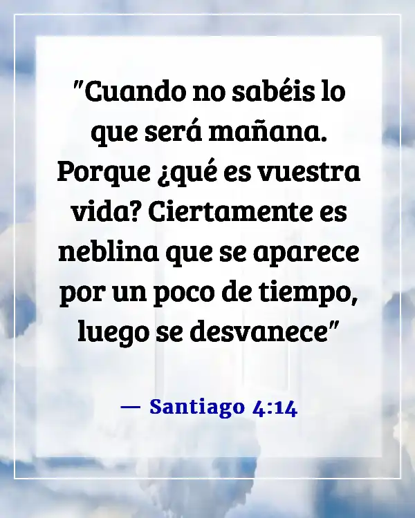 Versículo de la Biblia sobre el tiempo para todo (Santiago 4:14)