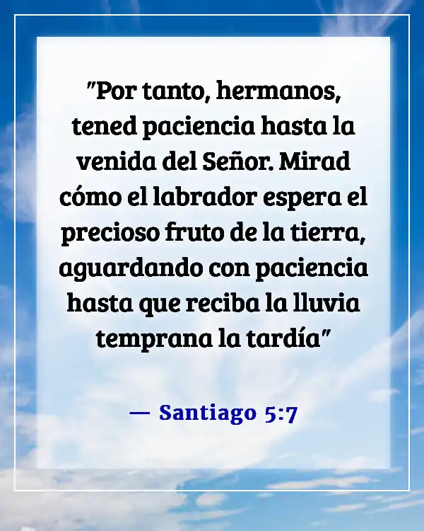 Versículos de la Biblia sobre esperar en Dios (Santiago 5:7)