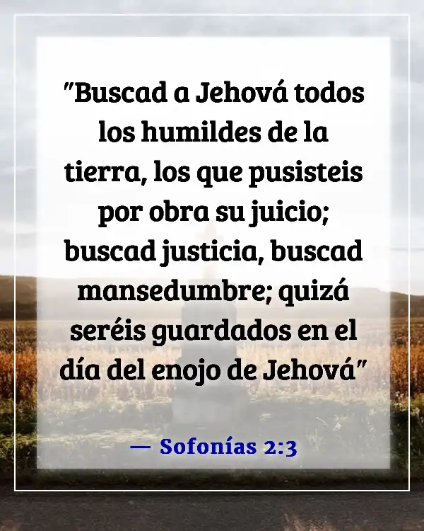 Versículos bíblicos sobre la humildad en el liderazgo (Sofonías 2:3)