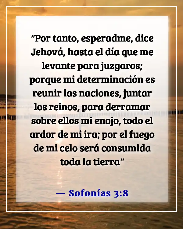 Versículos de la Biblia sobre esperar en Dios (Sofonías 3:8)