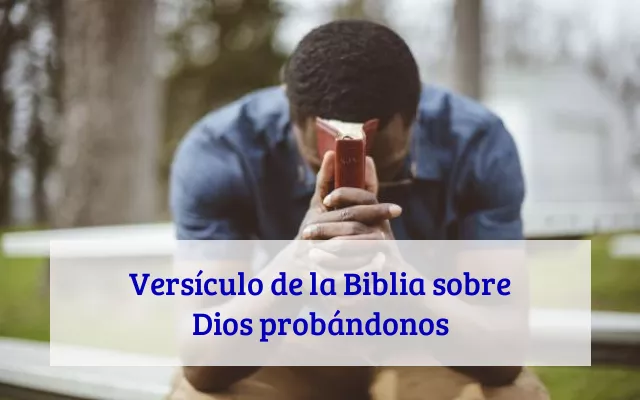 Versículo de la Biblia sobre Dios probándonos