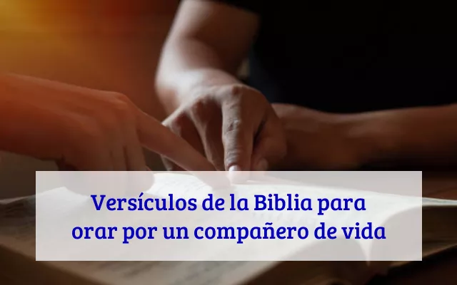 Versículos de la Biblia para orar por un compañero de vida