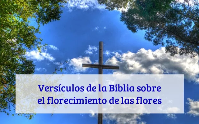 Versículos de la Biblia sobre el florecimiento de las flores