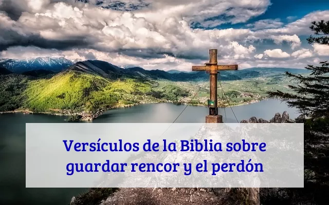 Versículos de la Biblia sobre guardar rencor y el perdón