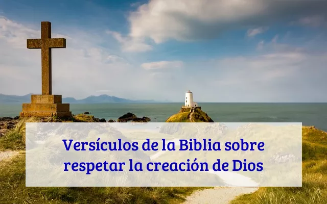 Versículos de la Biblia sobre respetar la creación de Dios